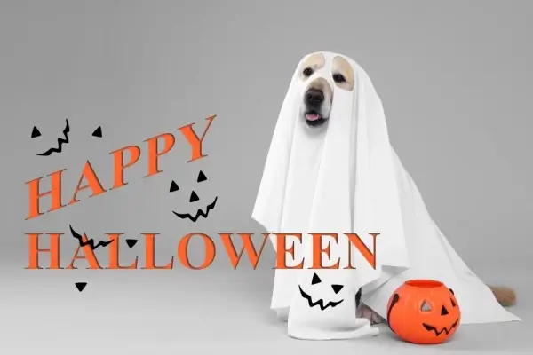 Happy Halloween from IMS Mortgage Services, LLC